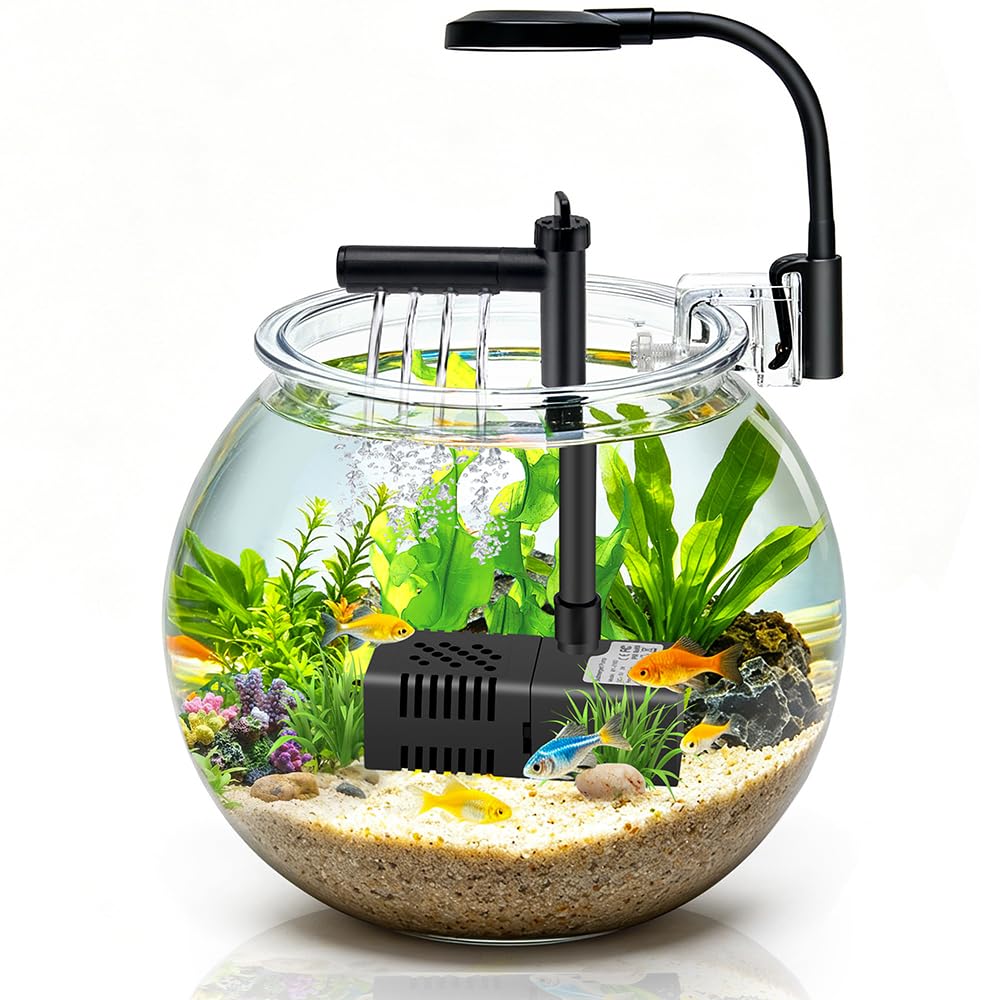1 Gallon Plastic Aquarium Starter Kit with USB Filtration and Lighting Y9575