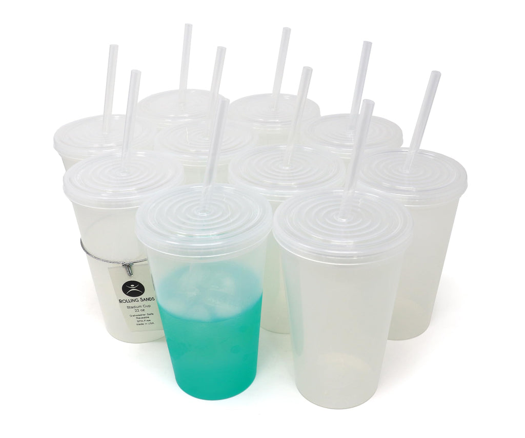 22 oz Reusable Plastic Cups with Lids and Straws, 10 Pack R42394