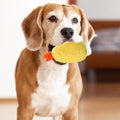 Fried Shrimp Shaped Plush Squeaky Dog & Cat Toy P1680