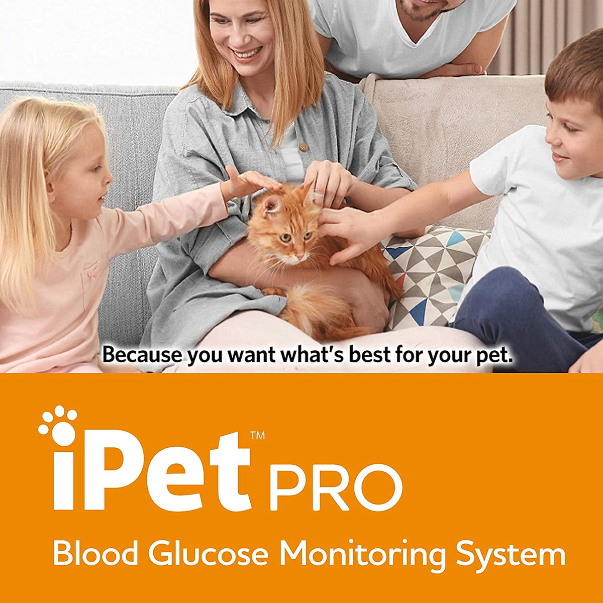 Blood Glucose Monitoring System for Dogs & Cats J426