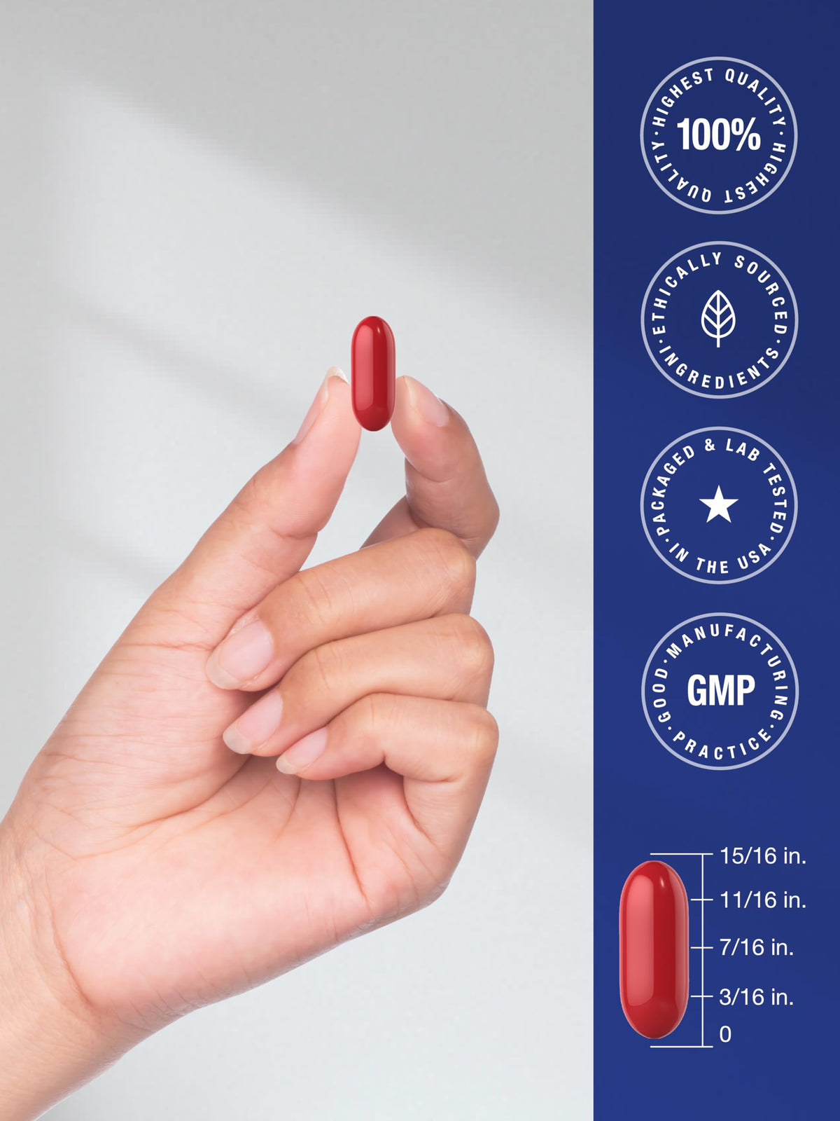 Memory Support Supplement 60 Softgels R76019