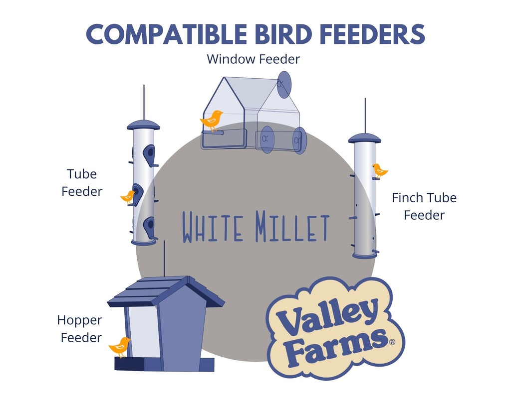White Millet Wild Bird Seed 20 LB P4305