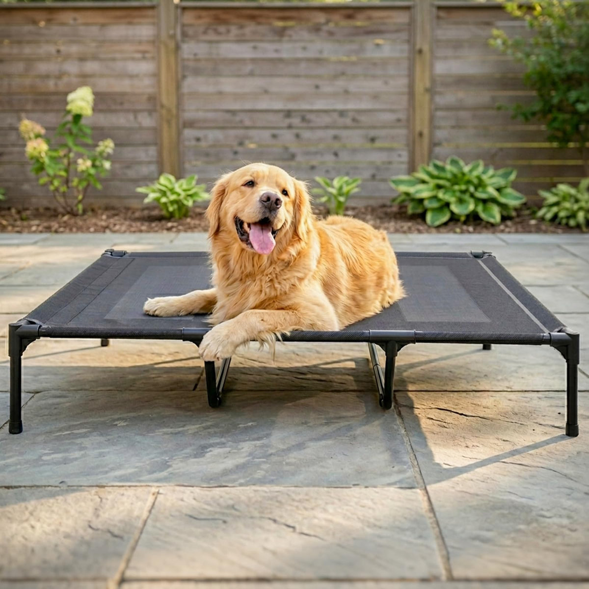 Elevated Dog Bed with Metal Frame, X-Large Grey K826289