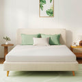 6 Inch Full Mattress B96746