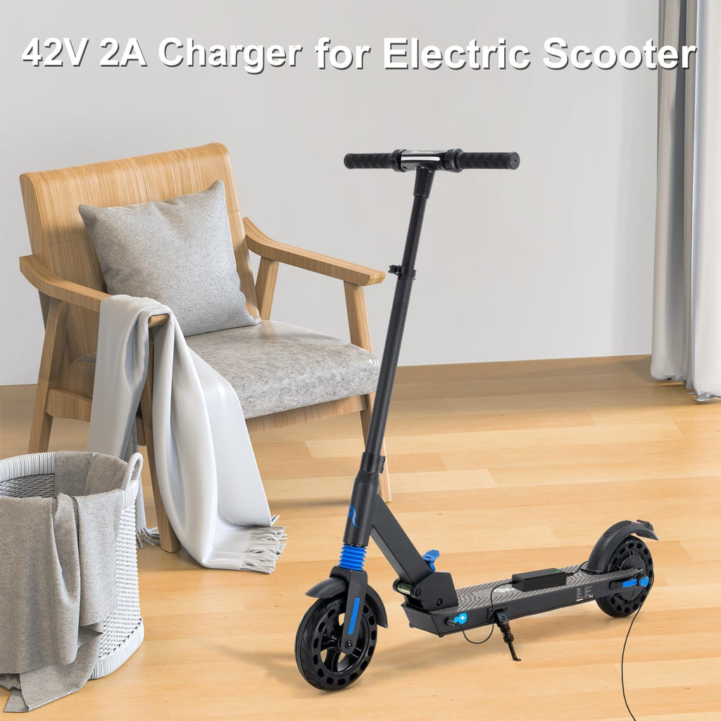 42V 2A Scooter Charger A207701