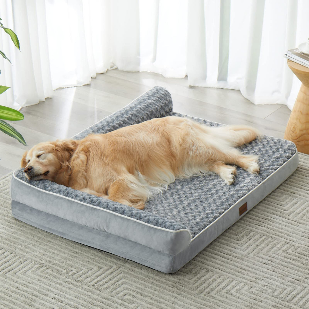 Washable Orthopedic Dog Bed Z36425