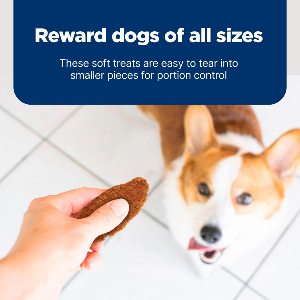Chicken Dog Treats 16 oz H939