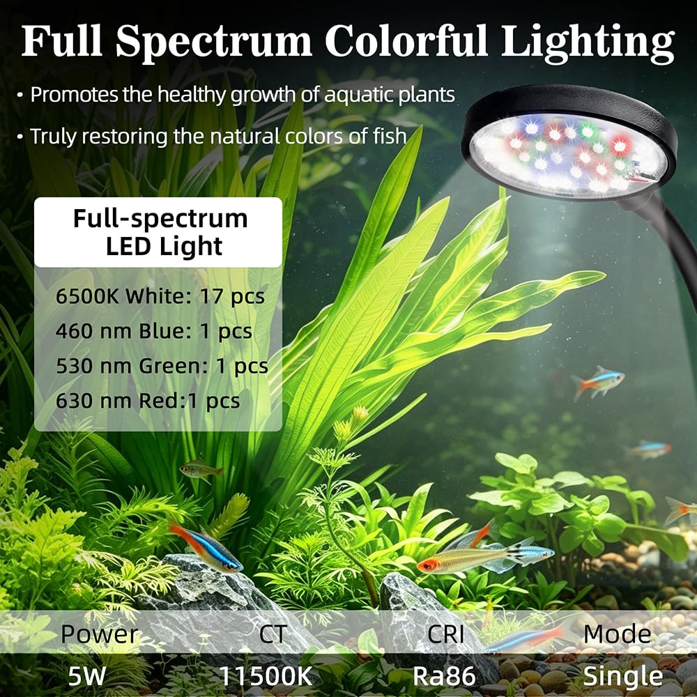 1 Gallon Plastic Aquarium Starter Kit with USB Filtration and Lighting Y9575