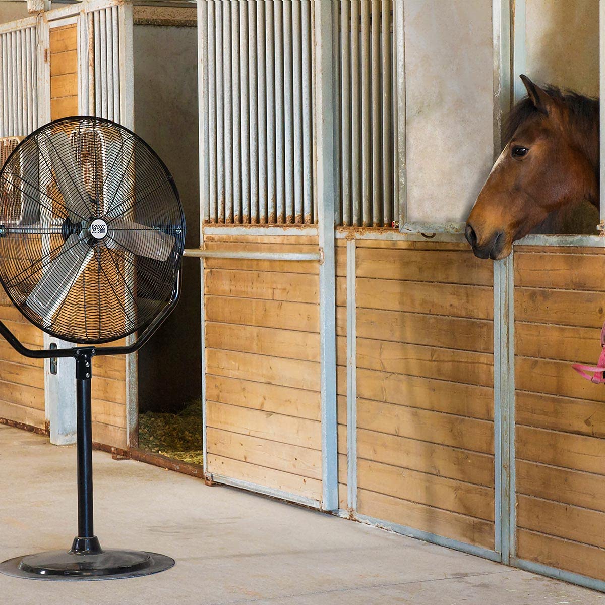30" Heavy Duty Pedestal Fan F58704