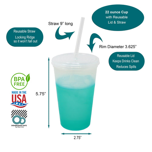 22 oz Reusable Plastic Cups with Lids and Straws, 10 Pack R42394