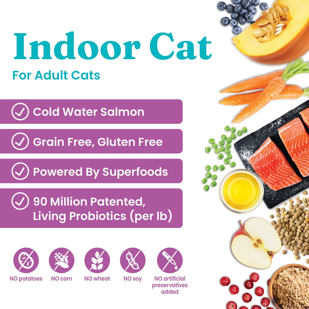 Salmon Dry Cat Food and Wet Cat Food Variety Pack T473
