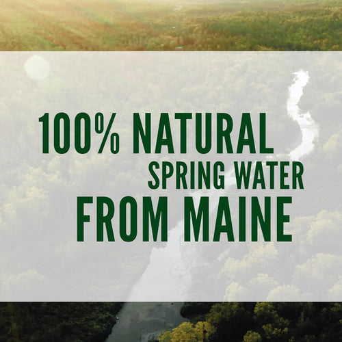 100% Natural Mineral Drinking Water 16.9 oz. 14 pk. B9020