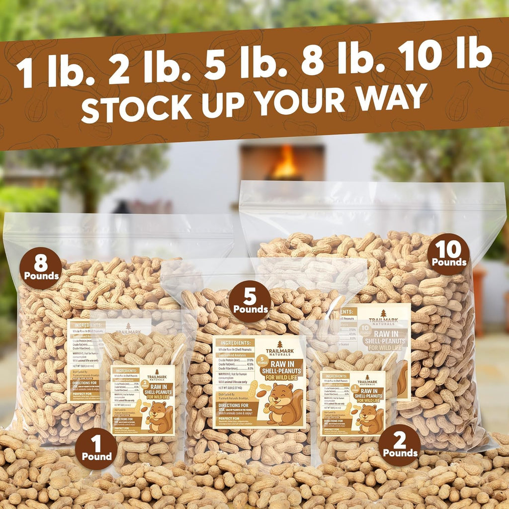 Raw Peanuts for Squirrels and Birds, 5 Pounds Total I860679