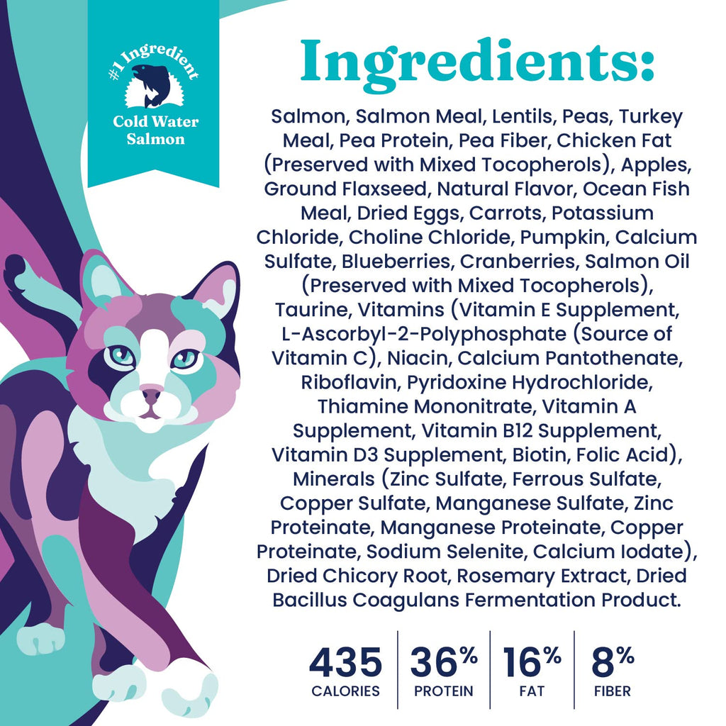 Salmon Dry Cat Food and Wet Cat Food Variety Pack T473