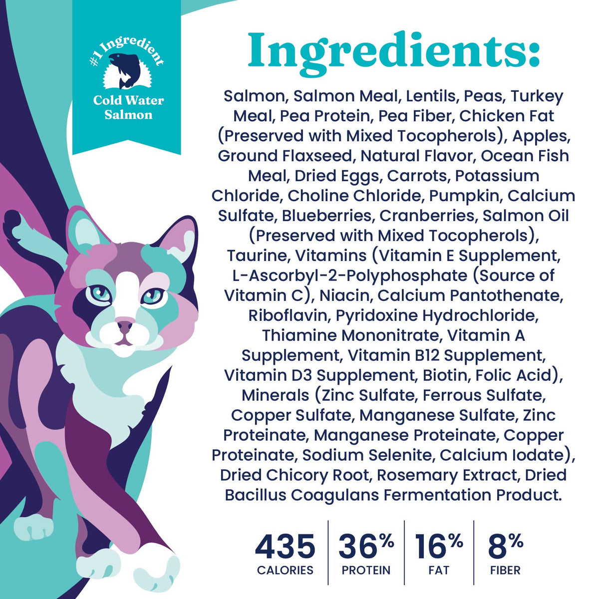Salmon Dry Cat Food and Wet Cat Food Variety Pack T473