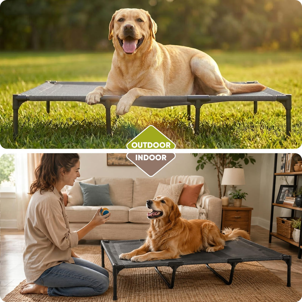 Elevated Dog Bed with Metal Frame, X-Large Grey K826289