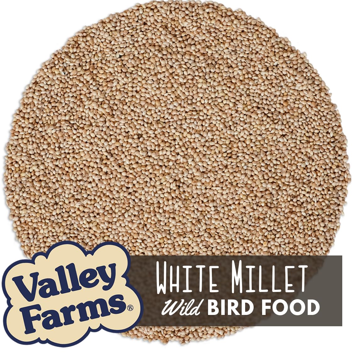 White Millet Wild Bird Seed 20 LB P4305