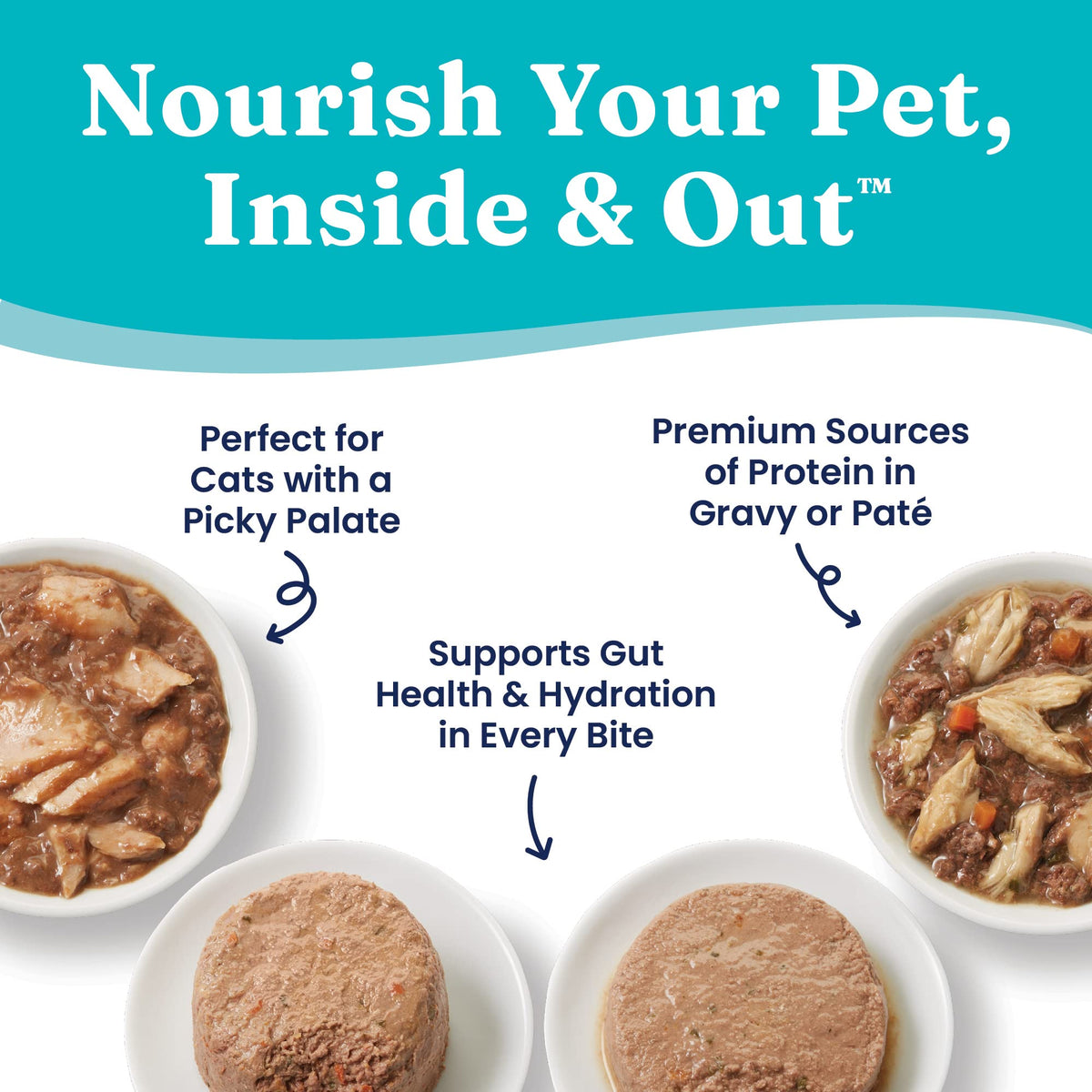 Salmon Dry Cat Food and Wet Cat Food Variety Pack T473