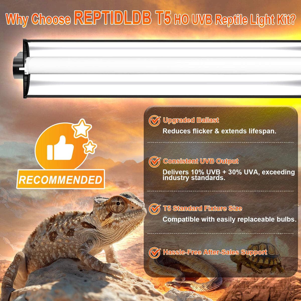 8W T5 10.0 UVB Reptile Light Fixture 12" C828668