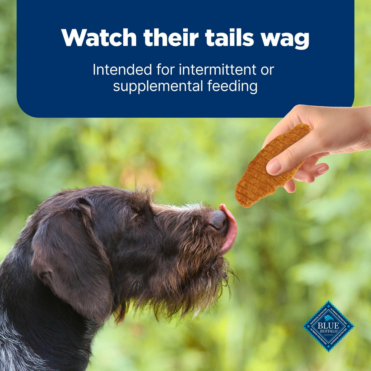 Chicken Dog Treats 16 oz H939