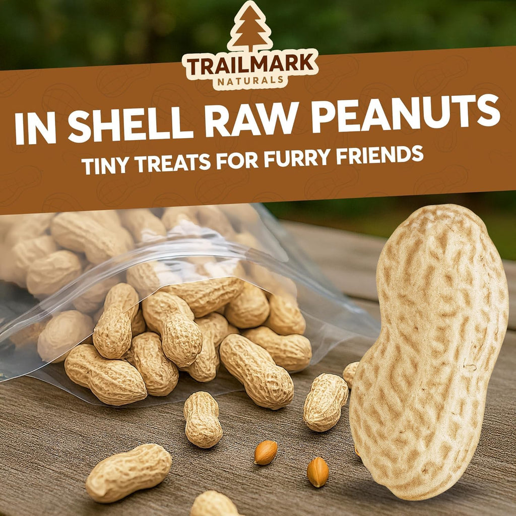 Raw Peanuts for Squirrels and Birds, 5 Pounds Total I860679